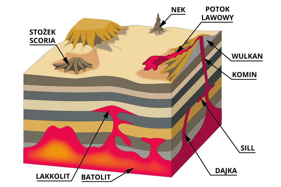 Schemat prezentuje intruzje magmowe wraz z formami pochodzenia wulkanicznego. Na schemacie jest przekrój poprzeczny. W głębi ziemi zaznaczono batolit - to intruzja magmowa ciągnąca się w dół do nieznanej głębokości. Jej górna powierzchnia przecina skały niezgodnie z ich warstwowaniem. Na ilustracji obok batolitu jest lakkolit - to intruzja, która ma bochenkowaty kształt z płaską podstawą i wypukłą górną powierzchnią. Wdziera się między starsze warstwy, nie przecinając ich. Kolejną intruzją jest dajka - przecina warstwy i przypomina żyłę. Sill leży w dolnej części komina wulkanicznego - to dwie poziome żyły usytuowane pomiędzy dwiema warstwami skalnymi. Komin to kanał łączący komorę wulkaniczną z powierzchnią ziemi, wypływa z niego lawa, tworząca potok na zboczu wulkanicznego stożka. Na powierzchni ziemi na ilustracji pokazano stożkowate wzniesienie - nek oraz stożek scoria przypominający miniwulkan.    