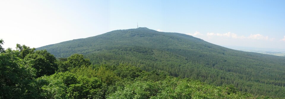 Na zdjęciu znajduje się bardzo rozległe wzgórze o bardzo łagodnych, długich zboczach. Przestrzeń całkowicie pokryta jest drzewami. Niebo jest jasne.