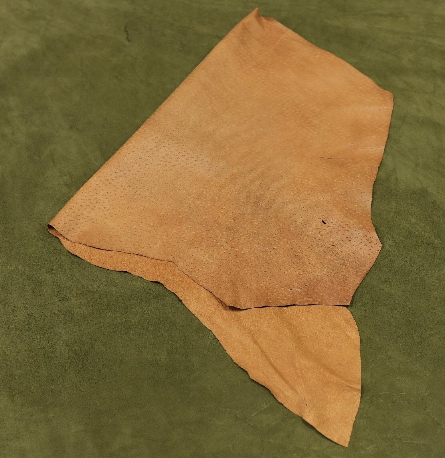 Zdjęcie przedstawia płat skóry świńskiej. Od strony lica i mizdry skóra jest beżowa i chropowata. 
