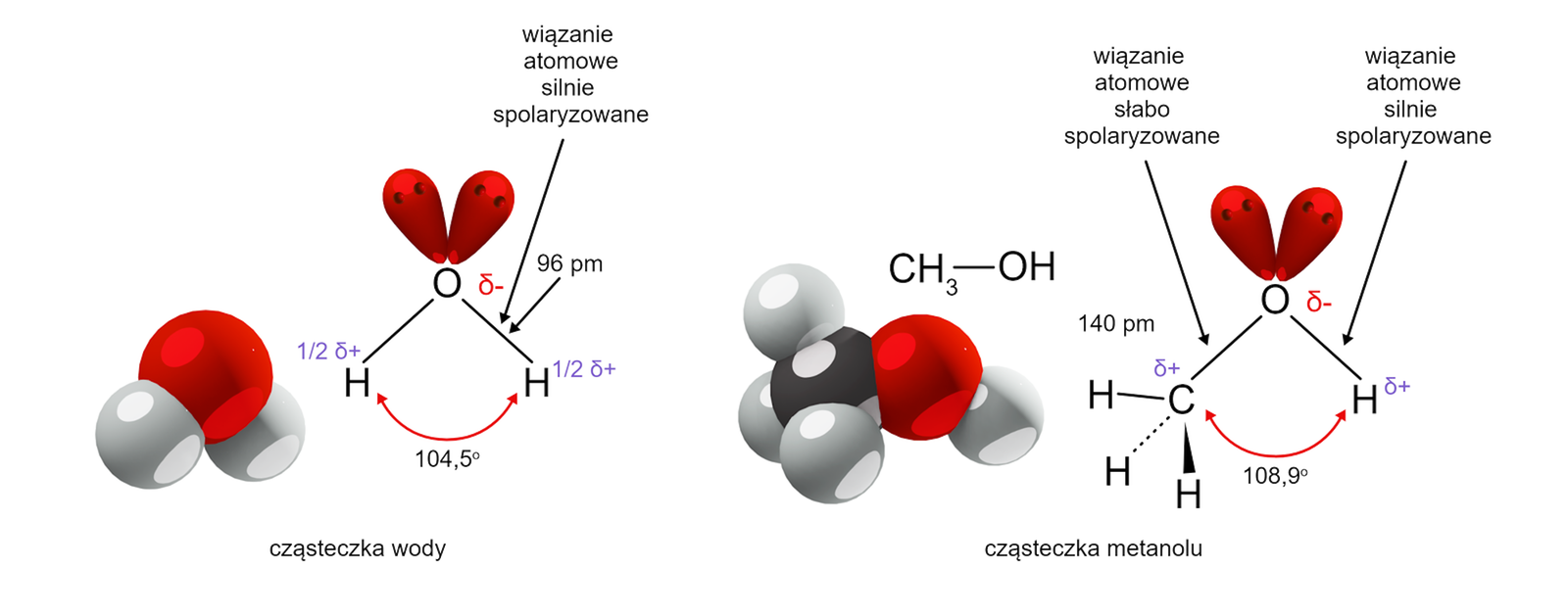 Na ilustracji przedstawiono porównanie budowy wody i alkoholu. W cząsteczce wody pomiędzy atomami wodoru zaznaczono kąt 104,5 stopnia. Przy atomach wodoru zaznaczono 1/2 delta +, przy atomie tlenu delta -. Przy wiązaniu pomiędzy atomem tlenu a wodoru jest wartość 96 pikometrów. W cząsteczce metanolu zaznaczono kąt pomiędzy atomem węgla i atomem wodoru, wynosi on 108,9 stopnia. Przy atomie węgla zaznaczono delta +, przy atomie wodoru z grupy OH delta +, przy atomie tlenu z grupy OH delta -. Wiązanie pomiędzy atomem tlenu a atomem węgla w metanolu zaznaczono jako wiązanie atomowe słabo spolaryzowane, natomiast pomiędzy atomem tlenu a wodoru jako silnie spolaryzowane. Wiązanie pomiędzy atomem tlenu i atomem wodoru w cząsteczce wody oznaczono jako silnie spolaryzowane.