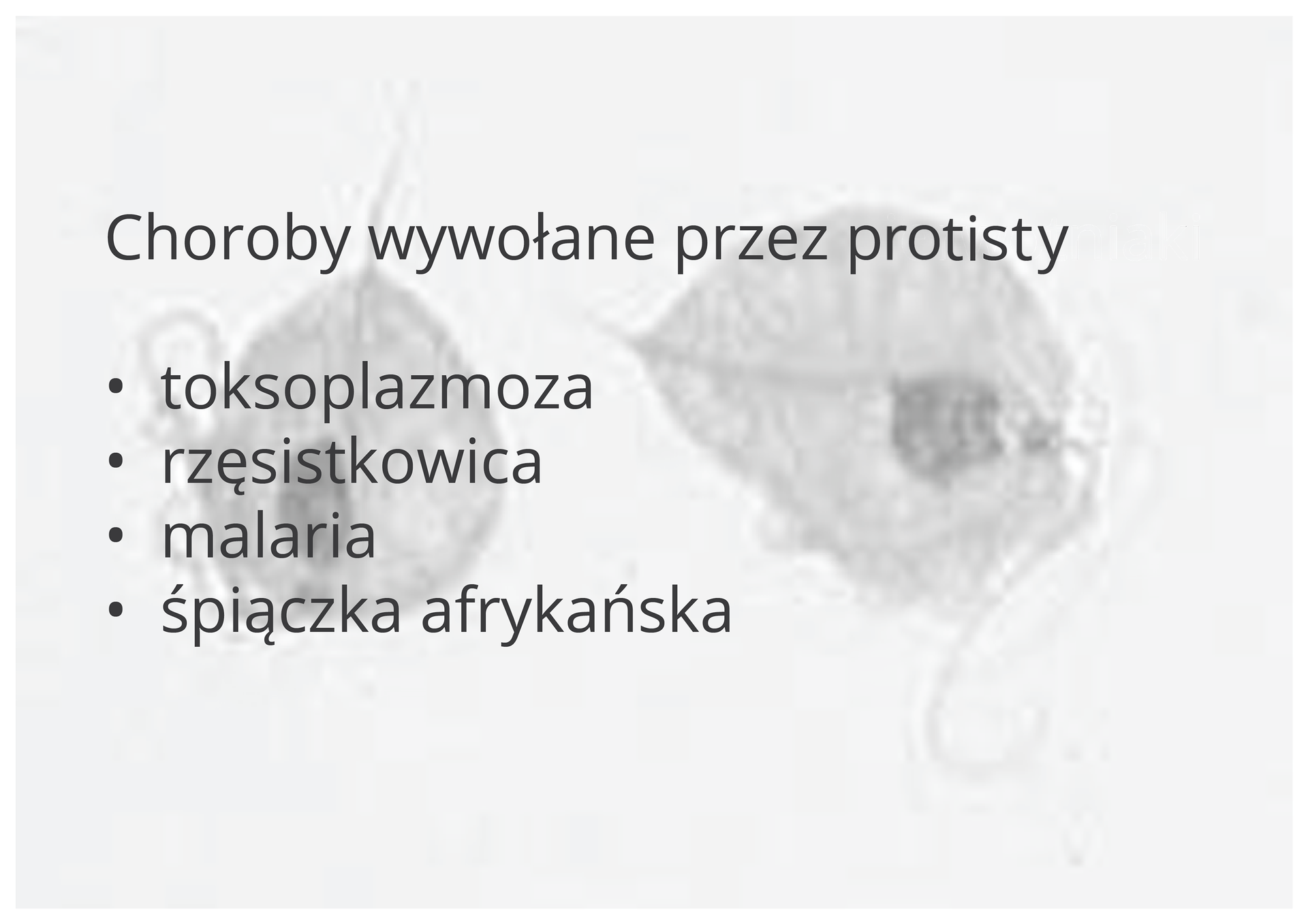 Grafika przedstawia zawiera następujący tekst: Choroby wywoływane przez protisty: toksoplazmoza, rzęsistkowica, malaria, śpiączka afrykańska. W tle widać zdjęcie przykładowych protistów. Mają one kształt zbliżony do kolistego. Z tylnej części wystaje długa wić. Zdjęcie jest szare.