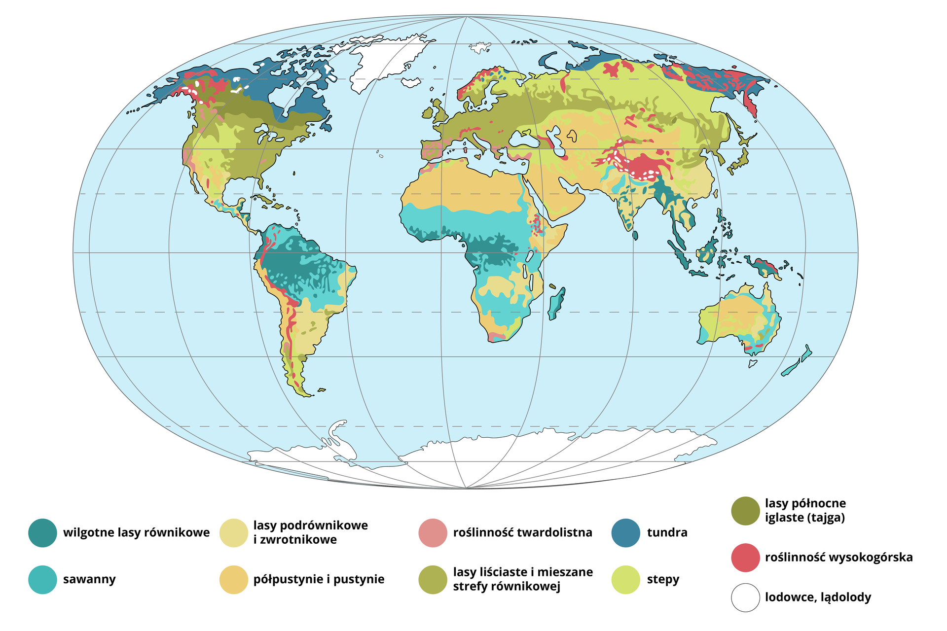Mapa świata przedstawia rozmieszczenie formacji roślinnych. Wilgotne lasy równikowe występują w północno wschodniej Ameryce Południowej, środkowej Afryce oraz Azji południowo wschodniej. Sawanny występują w północno wschodniej Ameryce Południowej, środkowej i południowej Afryce, we wschodniej Australii i Nowej Zelandii. Lasy podrównikowe i zwrotnikowe występują we wschodniej Ameryce Południowej, południowej Azji i południowej Afryce. Półpustynie i pustynie występują w zachodniej Ameryce Południowej, północnej i wschodniej Afryce, środkowej i południowej Azji, środkowej Australii. Roślinność twardolistna występuje na zachodnim wybrzeżu Ameryki Północnej, północnym Afryki, południowym Europy oraz w Hiszpanii. Stepy występują w zachodniej Ameryce Północnej, Australii, południowej Ameryce Południowej, północnej Azji. Tundra występuje w północnej Ameryce Północnej, północno wschodniej Azji. Lasy północne iglaste występują w północnej Ameryce Północnej. Lasy liściaste i mieszane strefy równikowej występują we wschodniej Ameryce Północnej, całej Europie i środkowej Azji. Roślinność wysokogórska występuje w północno wschodniej Azji, północno zachodniej Ameryce Północnej, w Andach, Alpach, Górach Skandynawskich oraz Himalajach. Lodowce i lądolody występują na Grenlandii oraz Antarktydzie.