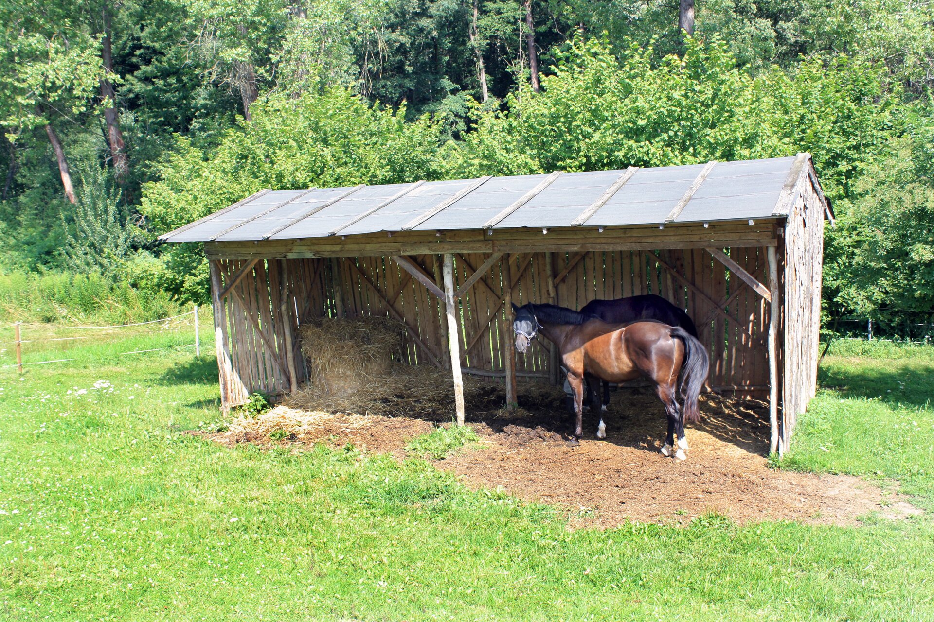 Zdjęcie przedstawia stajnię otwartą. Zbudowana jest z drewna, po środku wzmocniona belkami. W części po prawej stronie stoją dwa konie. Część po lewej jest pusta, widać wyłożone siano. Z tyłu stajni rosną gęsto drzewa. 