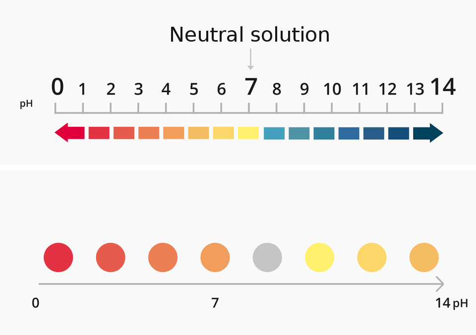 Ilustracja przedstawia skalę pe ha wraz z kolorystyką uniwersalnych papierków wskaźnikowych oraz wywaru z czerwonej kapusty w zależności od odczynu środowiska. Jest podzielona na dwie części, z których każda oznaczona jest liczbą w lewym górnym rogu. Górna część ilustracji, nosząca numer jeden przedstawia za pomocą ustawionej w poziomie osi skalę kwasowości od zera do czternastu z podziałem co jeden stopień. Środek skali, wartość 7 jest wyróżniona i opisana jako odczyn obojętny, neutral solution. Pod osią za pomocą barwnych prostokątów prezentowana jest zmiana kolorystyki uniwersalnego papierka wskaźnikowego w zależności od odczynu. W zakresie od zera do trzech jest to barwa czerwona, która w zakresie od trzech do pięciu przechodzi stopniowo w pomarańczową, a następnie w żółtą, charakterystyczną dla odczynu obojętnego. Środowisko zasadowe rozpoczyna się barwami morskimi, które w okolicach jedenastu przechodzą w kolor intensywnie niebieski, a następnie stopniowo w granatowy. Dolna część ilustracji, nosząca numer dwa przedstawia skalę dla wywaru z czerwonej kapusty. Skala ma postać poziomej strzałki, której lewy koniec oznaczony jest jako zero, a prawy jako czternaście pH. Nad strzałką prezentowane są barwne koła o kolorystyce typowej dla danego odczynu. Nie jest to klasyfikacja ścisła, ponieważ wywar z czerwonej kapusty nie jest sklasyfikowany jako precyzyjny wskaźnik. Przejścia kolorów pokrywają się z informacjami zawartymi w galerii na początku tej strony: odczynowi kwasowemu odpowiadają barwy ciepłe od czerwieni po głęboką purpurę, odczyn obojętny, czyli siedem pH to fiolet, natomiast odczyn zasadowy w zależności od stopnia zasadowości wyróżniają barwy niebieska, morska, zielona i żółta.