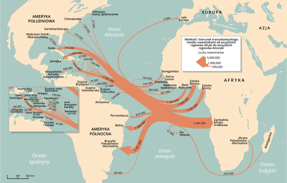 Mapa przedstawia trasy transportu niewolników z Afryki do obu Ameryk wraz z szacunkową liczbą przewożonych osób w latach 1500‑1870. Z Afryki Południowo‑Wschodniej i Madagaskaru wytransportowano 543 tysiące ludzi. Z Zachodniej Afryki Środkowej wytransportowano  5 milionów 695 tysięcy osób. Z Zatoki Bonny wytransportowano milion pięćset dziewięćdziesiąt pięć osób. Z zatoki Beninu wytransportowano milion dziewięćset dziewięćdziesiąt dziewięć tysięcy osób. Ze Złotego Wybrzeża wytransportowano milion dwieście dziewięć tysięcy osób. Z Wybrzeża Nawietrznego wytransportowano trzysta trzydzieści siedem tysięcy osób. Z Freetown wytransportowano sto cztery tysiące osób. Z Senegambii wytransportowano siedemset pięćdziesiąt sześć tysięcy osób.  Do Brazylii Południowo‑Wschodniej dotransportowano dwa miliony dwieście osiemdziesiąt jeden tysięcy ludzi. Do Bahii dotransportowano siedem milionów pięćset sześćdziesiąt osiem tysięcy ludzi. Do Pernambuco dotransportowano osiemset osiemnaście tysięcy ludzi. Do Amazonii dotransportowano sto czterdzieści cztery tysiące ludzi. Do Gujany Francuskiej dotransportowano trzydzieści jeden tysięcy osób. Do Hiszpańskich Karaibów kontynentalnych dotransportowano trzysta dziewięćdziesiąt tysięcy ludzi. Do Jamajki dotransportowano milion dwadzieścia tysięcy osób. Do Kuby dotransportowano siedemset siedemdziesiąt dziewięć tysięcy osób. Do Karoliny/Georgii dotransportowano dwieście dziesięć tysięcy ludzi. Do Północnych Stanów Zjednoczonych dotransportowano dwadzieścia siedem tysięcy.