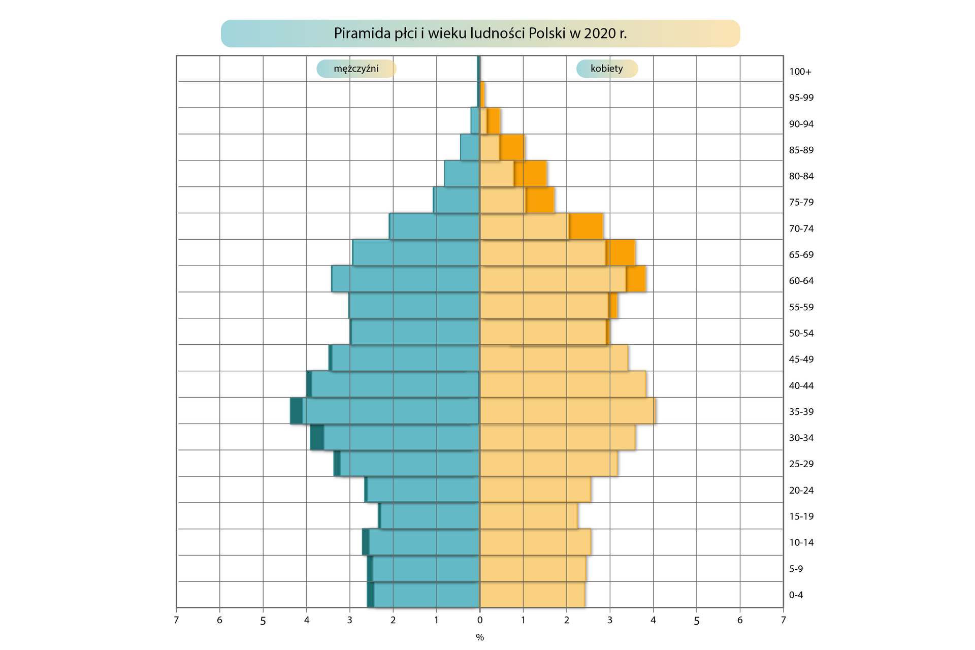 Piramida płci i wieku jest rozrysowana na siatce. Dolna pozioma oś oznacza liczbę ludności w procentach, od 0 w centralnym punkcie rośnie co 1% w lewą i prawą stronę do 7 procent. Oś pionowa oznaczona po prawej stronie określa grupy wiekowe: 0‑4, 5‑9, 10‑14, 15‑19, 20‑24, 25‑29, 30‑34, 35‑39, 40‑44, 45‑49, 50‑54, 55‑59, 60‑64, 65‑69, 70‑74, 75‑79, 80‑84, 85‑89, 90‑94, 95‑99, 100+. Piramida ma dwa kolory. Po lewej stronie wartości oznaczone są kolorem niebieskim dane mężczyzn, a po prawej – żółtym dane dla kobiet. Kolorem ciemnożółtym i ciemnoniebieskim oznaczone są różnice w danych dotyczących płci. Dolną część piramidy (oznaczającą najmłodsze grupy wiekowe) określa się jako podstawę, a górną (oznaczającą grupy najstarsze) - wierzchołek. W Polsce w 2020 roku najwięcej było osób w wieku produkcyjnym od 20 do 64 roku życia z niewielką przewagą mężczyzn. W wieku poprodukcyjnym widoczna jest znacząca przewaga kobiet (różnica nawet 1%). W przedziale wiekowym 35‑39 na ciemnoniebieskim polu znajduje się czarna kropka połączona kreską z napisem w czarnej ramce „Nadwyżka mężczyzn nad kobietami”. W przedziale wiekowym 80‑84 na ciemnożółtym polu znajduje się czarna kropka połączona kreską z napisem w czarnej ramce „Nadwyżka kobiet nad mężczyznami”.