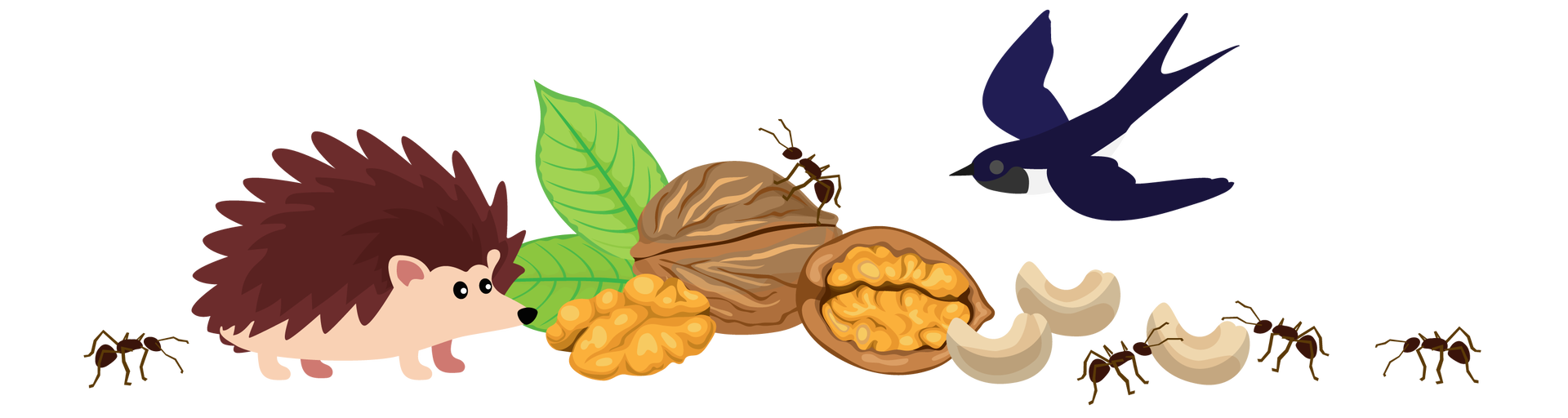 Ilustracja przedstawia kilka orzechów leżących blisko siebie. Na środku jest orzech włoski w brązowej skorupie, na którym stoi mrówka. Po jego lewej stronie leży orzech bez skorupy, a po prawej połowa skorupy z orzechem w środku. Dalej na prawo są trzy beżowe orzechy nerkowca, przy których znajdują się kolejne trzy mrówki. Nad nimi leci ptak. Ma granatowe upierzenie na głowie, grzbiecie i skrzydłach i białe na brzuchu oraz długi, rozdwojony ogon. Jest to jaskółka. Po lewej stronie ilustracji jest piąta mrówka. Obok niej stoi brązowy jeż. Za jeżem widać dwa zielone liście.