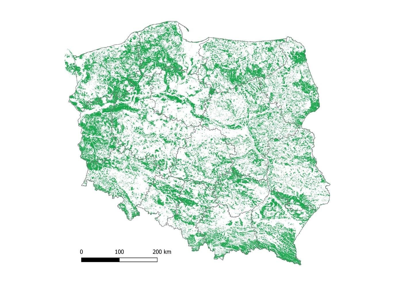 Mapa Polski z zaznaczonymi na zielono lasami, rozsianymi na obszarze całego kraju. Najwięcej obszarów oznaczonych kolorem zielonym można zauważyć na terenie województwa lubuskiego, pomorskiego, zachodniopomorskiego, podkarpackiego. Najmniej w centrum Polski i na Żuławach Wiślanych.