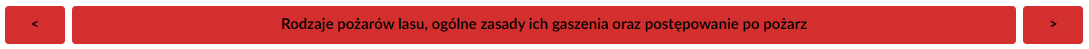 Tytuł i strzałki do przełączania między pozycjami w spisie treści
