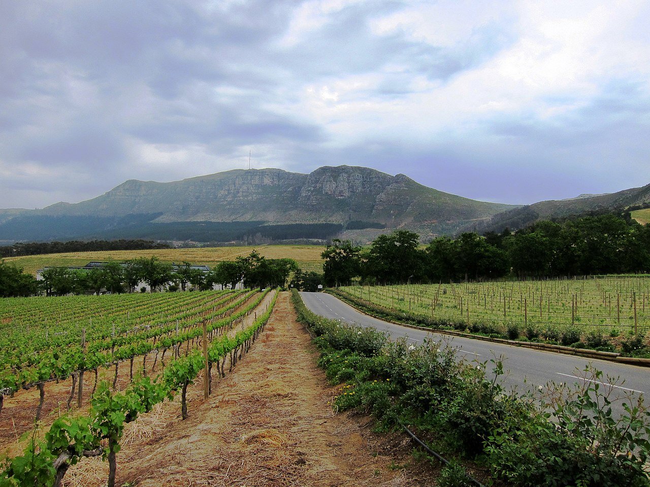 Najstarsza winnica w RPA – Groot Constantia