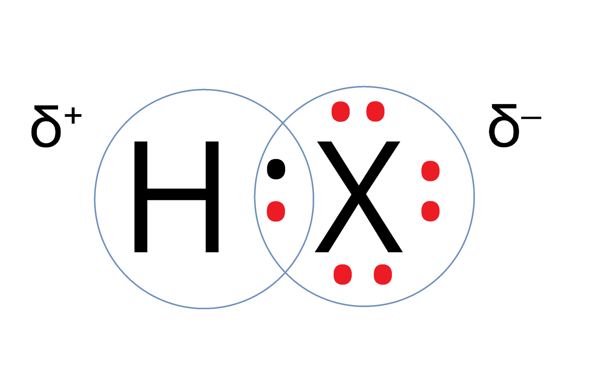 Ilustracja przedstawiająca dwa nakładające się na siebie okręgi. W pierwszym znajduje się litera H reprezentująca atom wodoru obdarzony cząstkowym ładunkiem dodatnim delta plus, zaś w drugim znajduje się litera X odpowiadająca atomowi fluorowca obdarzonemu cząstkowym ładunkiem ujemnym. Wokół atomu X znajdują się trzy pary elektronowe symbolizowane przez sześć czerwonych kropek. W polu, w którym okręgi nachodzą na siebie znajdują się dwie kropki, pierwsza czerwona pochodząca od atomu fluorowca, zaś druga czarna pochodząca od atomu wodoru. Wspomniane dwie kropki stanowią uwspólnioną parę elektronową, czyli wiązanie łączące atom wodoru i fluorowca.