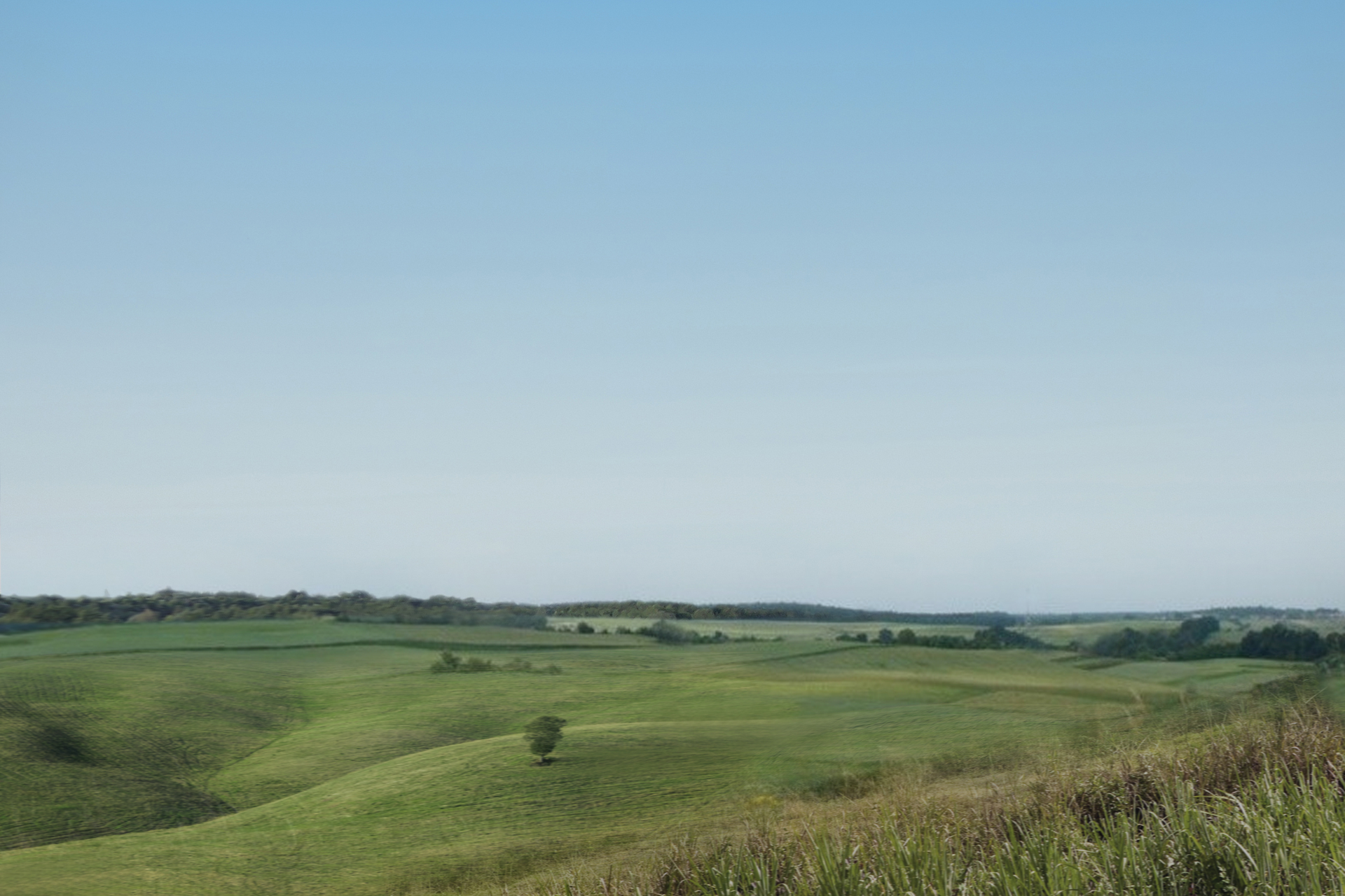 Na zdjęciu rozległy, lekko pofalowany teren rolniczy, porośnięty zieloną roślinnością. Górną część zdjęcia zajmuje jasne niebo.
