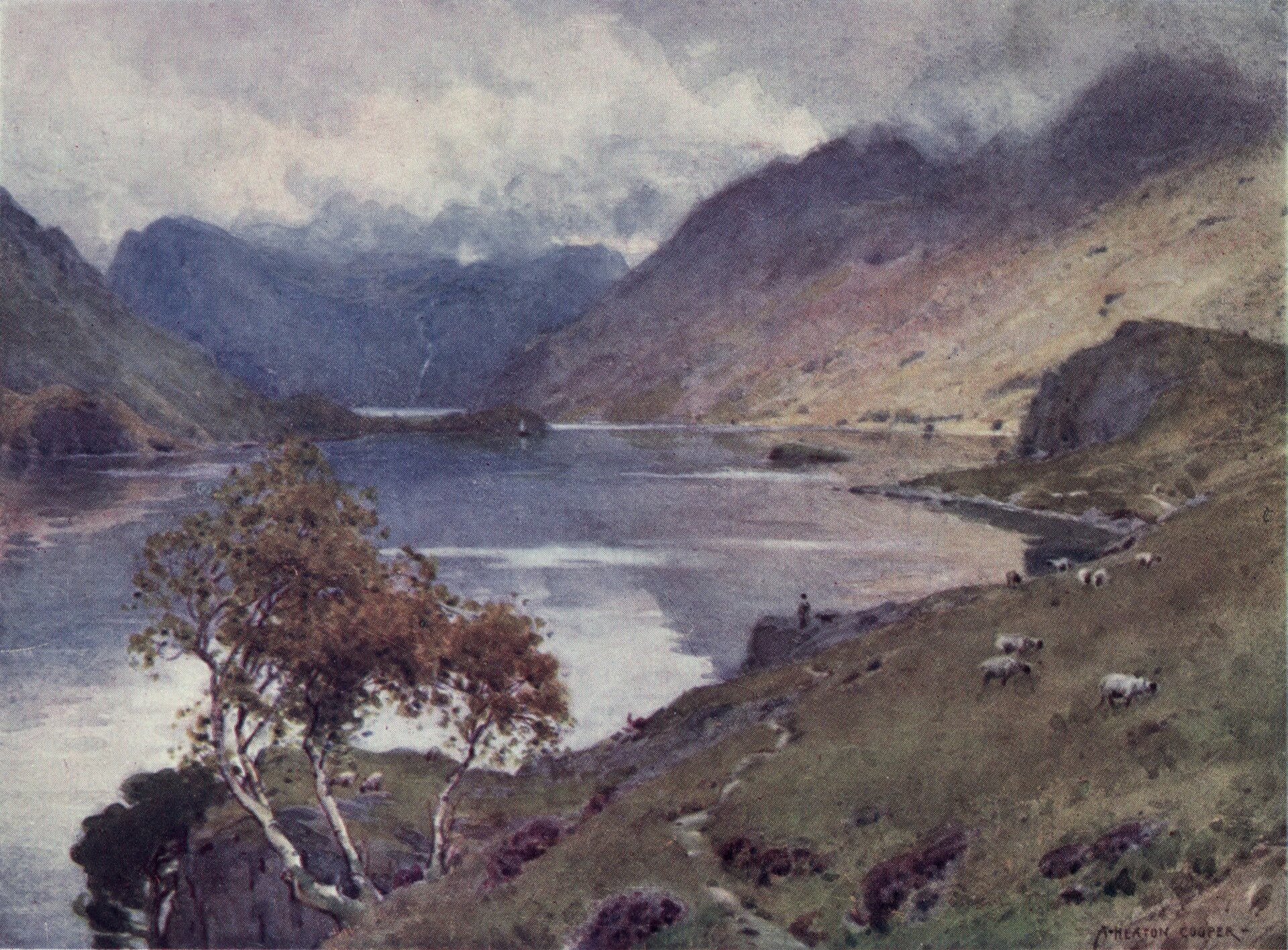 Ilustracja wiejski pejzaż. Łąka z pasącymi się na niej zwierzętami i brzozą rosnącą na pierwszym planie opada w kierunku jeziora. Lustro wody jest spokojne. W tle wzgórza z zamglonymi szczytami.