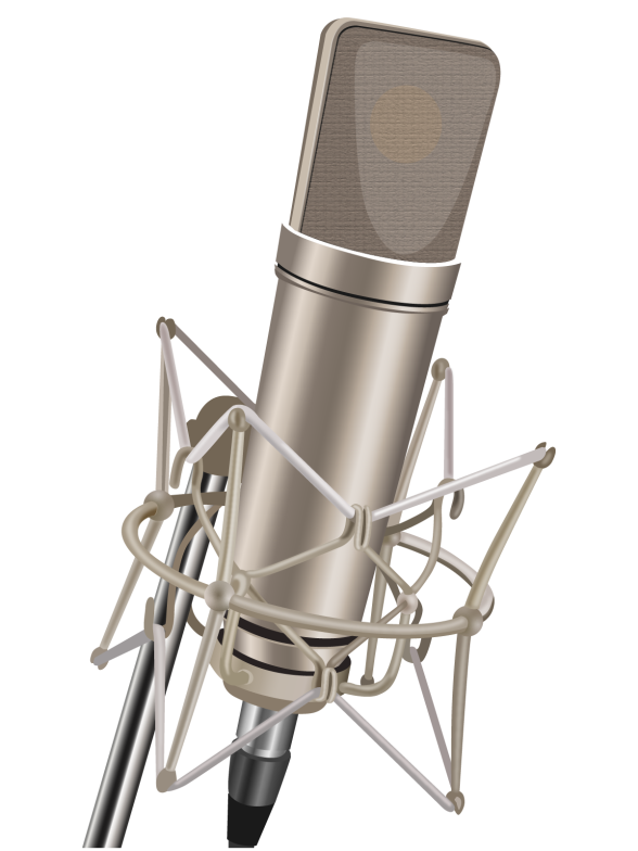 Na zdjęciu widoczny jest mikrofon Neumann U87, w pozycji pionowej. W górnej części widoczna jest srebrna, pionowa, płaska membrana, wykonana z plecionki cienkich drucików. Do membrany przyłączona jest pionowa cewka w kolorze srebrnym. W dolnej części przymocowany uchwyt do mocowania wykonany z zaplecionych cienkich, srebrnych drucików. Poniżej widoczne jest mocowanie czarnego przewodu ze srebrnym pierścieniem.