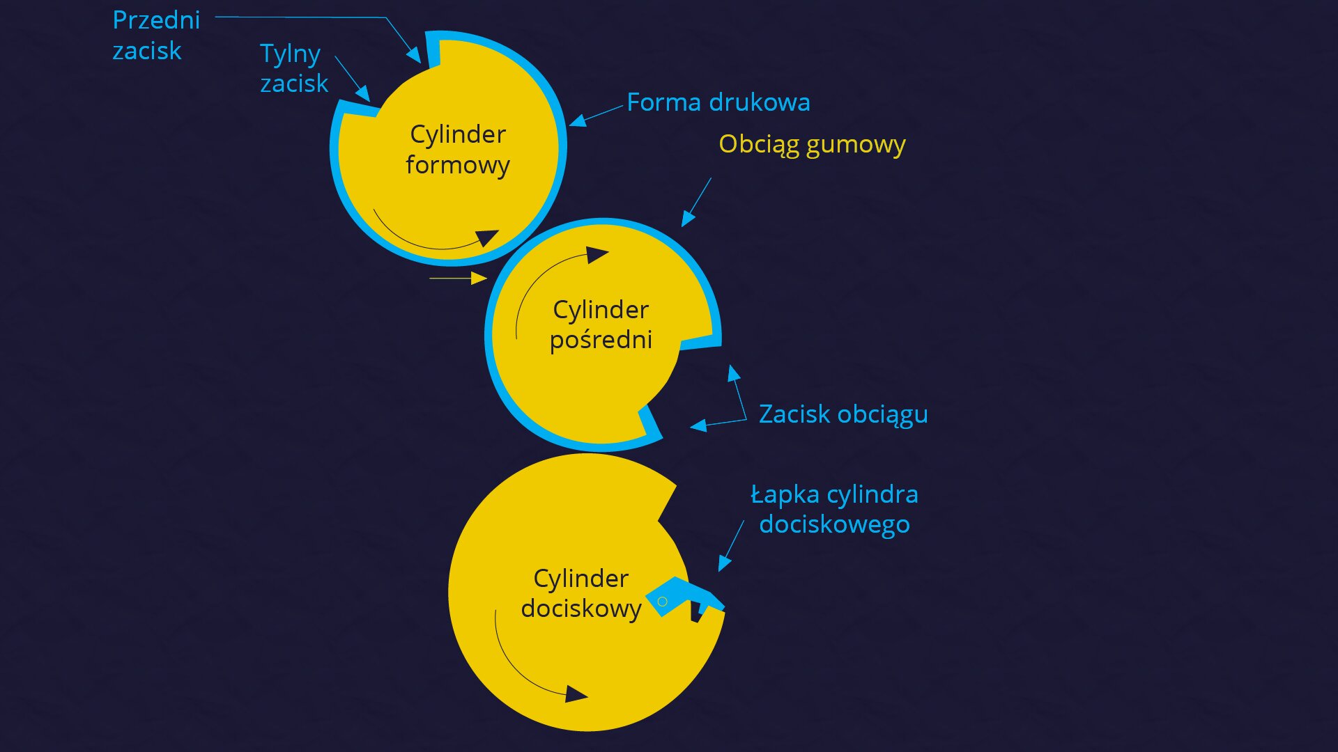 Grafika przedstawia schemat przekroju arkuszowej maszyny offsetowej. Na ciemnym tle widoczne są trzy duże żółte koła, od góry: cylinder formowy, cylinder pośredni i cylinder dociskowy. Wokół cylindra formowego biegnie niebieska obwódka podpisana jako forma drukowa. W środku strzałka pokazująca ruch przeciwny do ruchu wskazówek zegara. Wokół cylindra pośredniego biegnie niebieska obwódka podpisana jako obciąg gumowy. W środku strzałka pokazująca ruch zgodny z ruchem wskazówek zegara. W środku cylindra dociskowego biegnie strzałka pokazująca ruch przeciwny do ruchu wskazówek zegara. Cylinder pośredni ma trapezoidalne wycięcie między godz. 3 a 5, zaś cylinder dociskowy między godz. 1 a 3. W tym miejscu odchodzą strzałki i podpis - zacisk obciągu i łapka cylindra dociskowego. Cylinder formowy ma trapezoidalne wycięcie między godz. 10 a 12 z podpisem przedni zacisk i tylni zacisk.