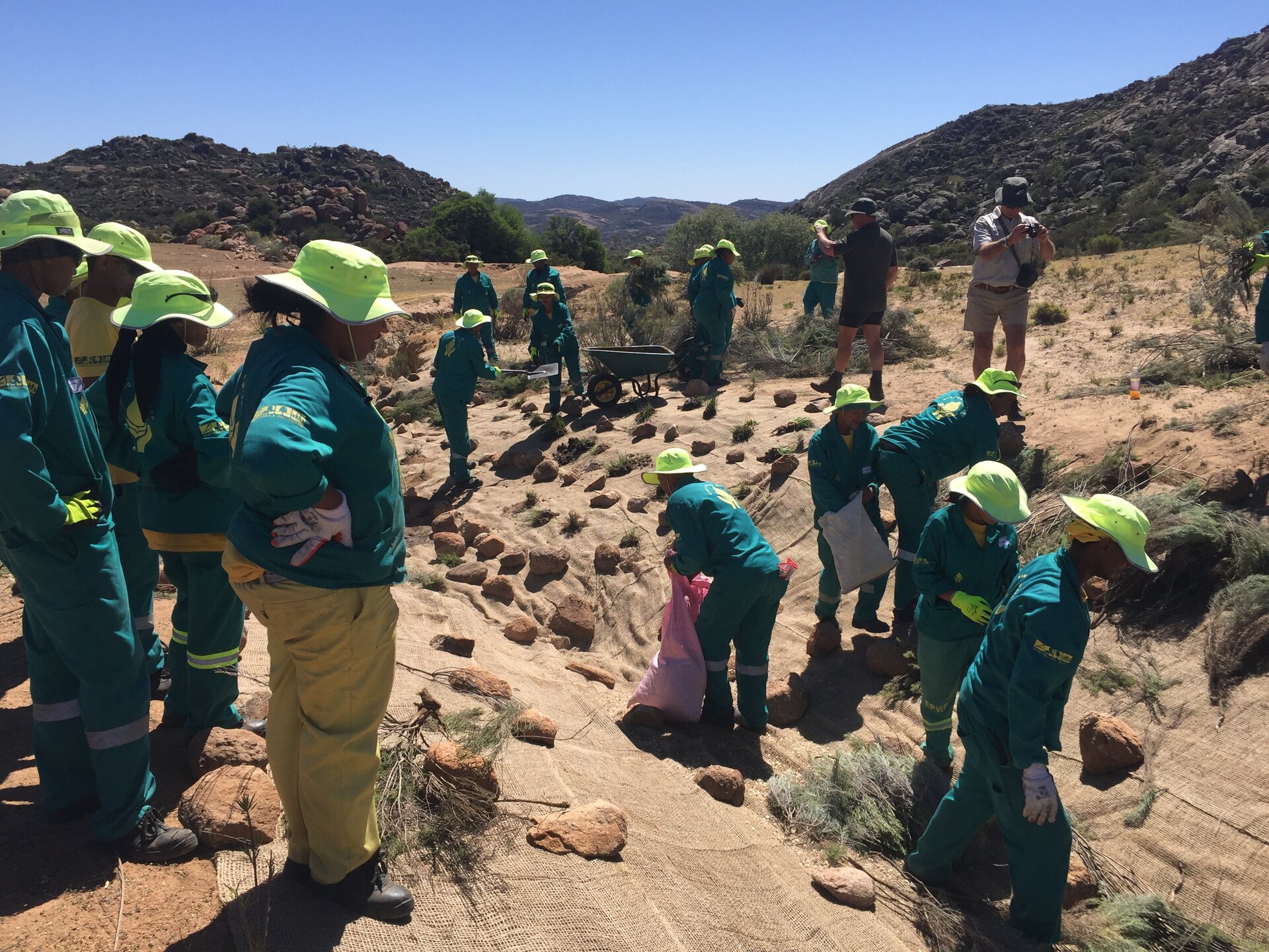 Zdjęcie przedstawia sadzenie roślin przez ludzi wzdłuż wcięć erozyjnych. Zapobiega to pogłębianiu się erozji wodnej. Na zdjęciu widać dużo ludzi pracujących w czapkach chroniących ich przed słońcem oraz w specjalnych strojach i rękawiczkach. W oddali widoczne są wzgórza.
