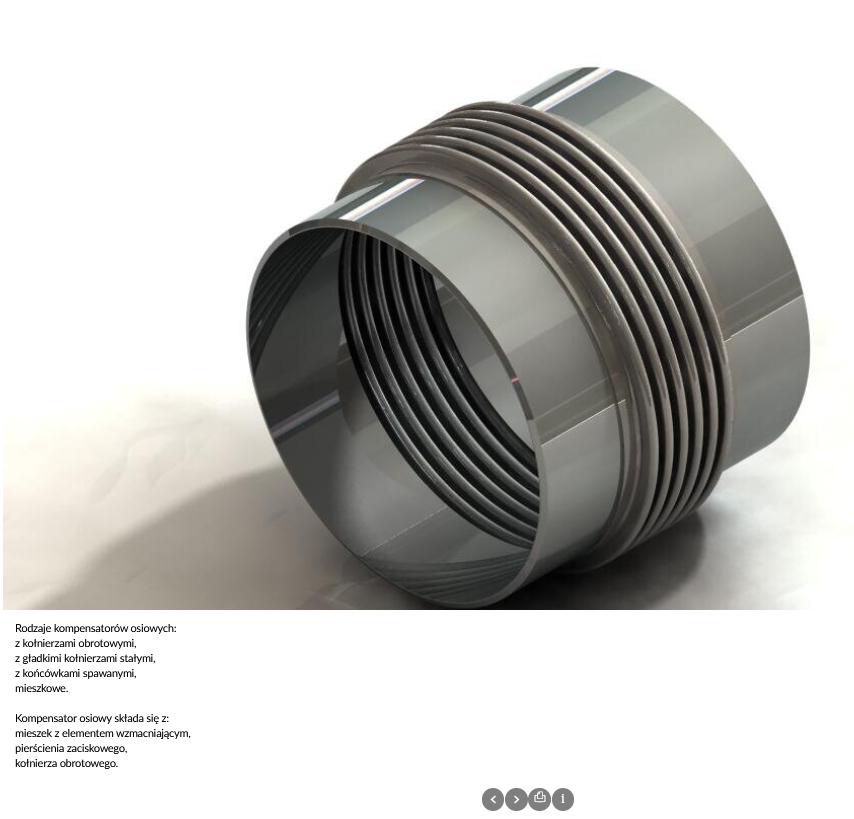 Grafika przedstawia jedną z grafik galerii w trybie prezentacji. Poniżej znajduje się wyświetlony panel z informacjami.