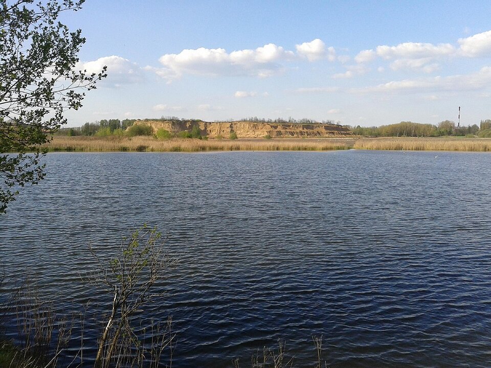 Zespół przyrodniczo‑krajobrazowy Żabie Doły – widok na kompleks stawów, zielone wyspy i otaczające szuwary, przykład poprzemysłowego krajobrazu zdominowanego przez mokradła.