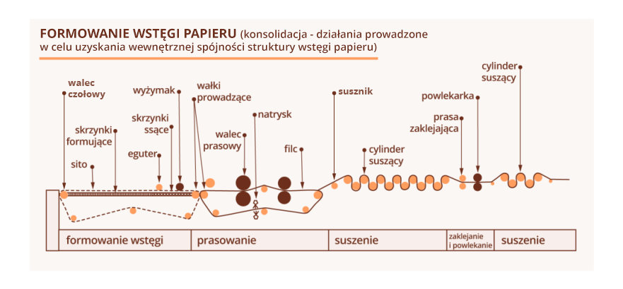 Grafika przedstawia schemat formowania wstęgi papieru. Proces podzielono na kolejne sekcje, w których znajdują się urządzenia odpowiedzialne za konkretne procesy. W sekcji formowania wstęgi znajdują się: sito skrzynki formujące, eguter, skrzynki ssące, wyżymak. W sekcji prasowania: wałki prowadzące, walec prasowy, natrysk, filc. W sekcji suszenia: cylinder suszący. W sekcji zaklejania i powlekania: prasa zaklejająca i powlekarka. Za sekcją zaklejania i powlekania znajduje się kolejna krótsza sekcja cylindrów suszących, która ma za zadanie wysuszyć powłokę papieru.