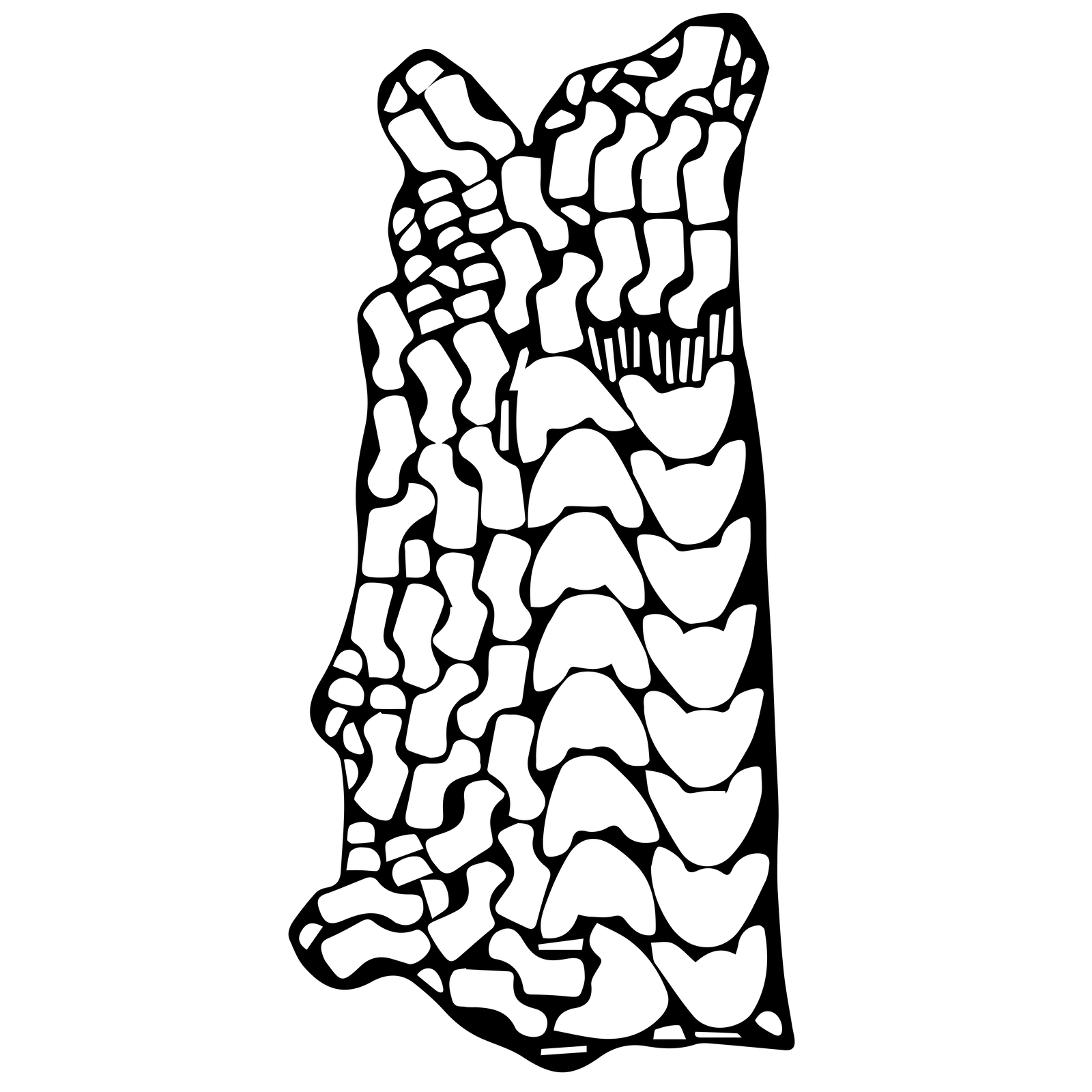 Na rysunku pokazana jest połówka boksu bydlęcego. To podłużny, nieregularny kształt w całości wypełniony mniejszymi, obłymi kształtami, czyli rozkładem wzorników systemem parowym (elementów lewych i prawych ułożonych jeden obok drugiego i stykających się ze sobą). W miejscu linii przecięcia skóry w okolicach kruponu znajdują się wzorniki przyszwy, a bliżej boku – obłożyny, języki. W części karkowej usytuowane są obłożyny, paski tylne i inne drobne elementy.