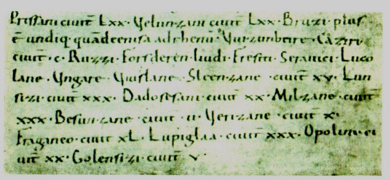 Na zdjęciu znajduje się fragment zniszczonego papieru zapisanego łaciną.