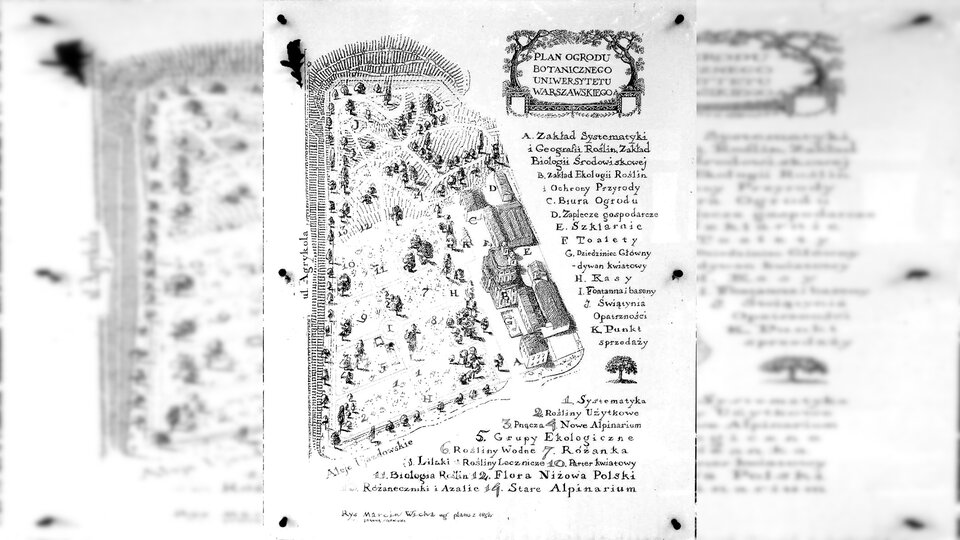 Rycina przedstawia stary plan Ogrodu Botanicznego. Opisane są miejsca rośnięcia poszczególnych gatunków roślin.