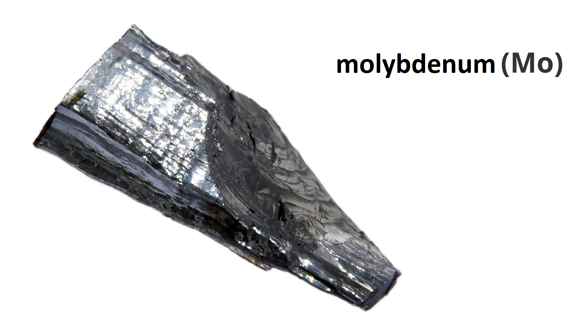What kind of common features can you notice? The photograph shows a molybdenum.