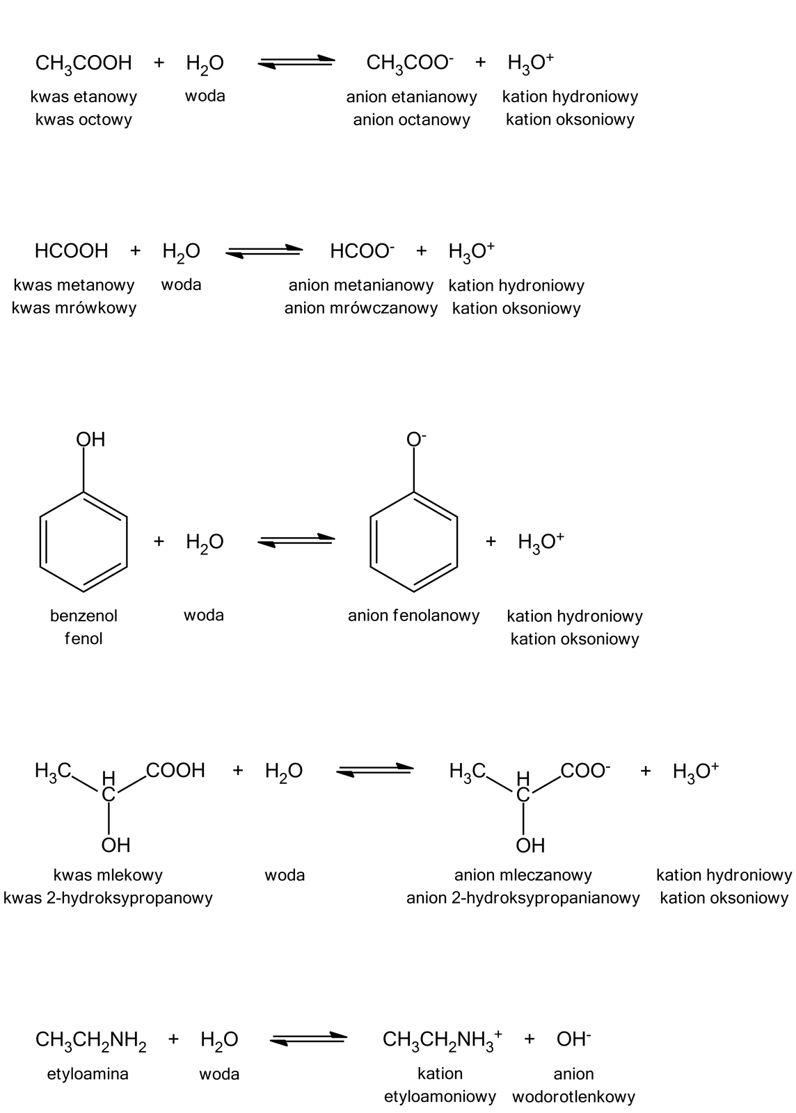 Ilustracja przedstawiająca pięć równań reakcji dysocjacji elektrolitycznej związków organicznych.Cząsteczka kwasu etanowego (czyli kwasu octowego) zbudowana z grupy CH3 związanej z grupą COOH. Dodać cząsteczka wody H2O. Strzałka w prawo, strzałka w lewo, za strzałkami anion etanianowy (czyli anion octanowy) zbudowany z grupy CH3 związanej z grupą COO- dodać kation hydroniowy H3O+.Cząsteczka kwasu metanowego (czyli kwasu mrówkowego) HCOOH. Dodać cząsteczka wody H2O. Strzałka w prawo, strzałka w lewo, za strzałkami anion metanianowy (czyli mrówczanowy) HCOO-, dodać kation hydroniowy H3O+.Cząsteczka benzenolu (czyli fenolu) zbudowanego z sześcioczłonowego pierścienia aromatycznego podstawionego grupą hydroksylową OH. Dodać cząsteczka wody H2O. Strzałka w prawo, strzałka w lewo, za strzałkami anion fenolanowy zbudowany z pierścienia fenylowego podstawionego atomem tlenu obdarzonym ładunkiem ujemnym, dodać kation hydroniowy H3O+. Cząsteczka kwasu mlekowego (czyli kwasu 2–hydroksypropanowego) zbudowanego z grupy  CH podstawionej grupą hydroksylową OH, grupą metylową CH3 oraz grupą karboksylową COOH. Dodać cząsteczka wody H2O. Strzałka w prawo, strzałka w lewo, za strzałkami anion mleczanowy zbudowany z grupy  CH podstawionej grupą hydroksylową OH, grupą metylową CH3 oraz grupą karboksylanową COO-, dodać kation hydroniowy H3O+. Cząsteczka etyloaminy zbudowanej z grupy CH3 związanej z grupą CH2 podstawioną grupą aminową NH2. Dodać cząsteczka wody H2O. Strzałka w prawo, strzałka w lewo, za strzałkami kation etyloamoniowy zbudowany z grupy CH3 związanej z grupą CH2 podstawioną grupą amoniową NH3+. Dodać anion wodorotlenkowy OH-.