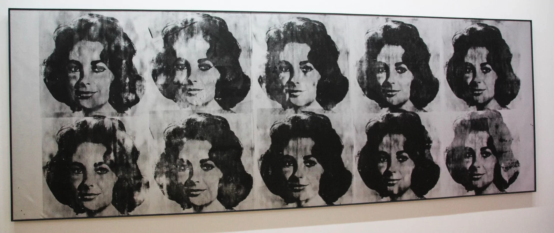 Ilustracja przedstawia dzieło Andy'ego Warhola „Ten Lizes”. Ukazuje zwielokrotniony portret Elizabeth Tylor o falowanych włosach, które sięgają do ramion. Wizerunki rozmieszczone są w dwóch rzędach po pięć twarzy w każdym. Grafika jest czarno-biała. Poszczególne portrety różnią się stopniem nasycenia i jakością odbicia.