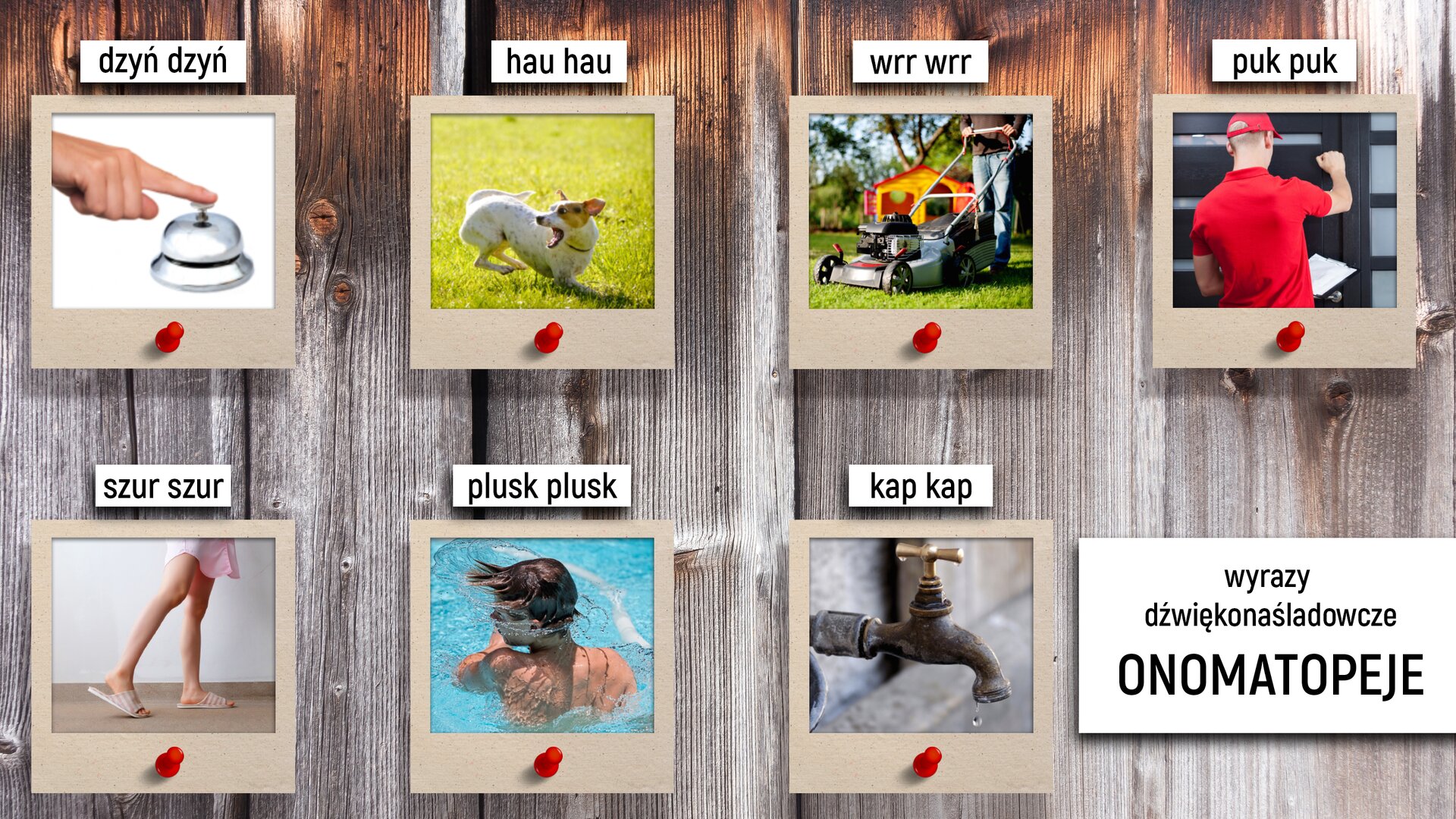 Ilustracja składa się z siedmiu zdjęć ułożonych na tle desek drewnianych w dwóch rzędach. Nad nimi czarne napisy na białym tle. W prawym dolnym rogu tytuł: wyrazy dźwiękonaśladowcze onomatopeje.
Fotografie kolejno przedstawiają:
srebrny dzwonek hotelowy i dłoń kobiecą, która wskazującym palcem naciska gong, nad nim napis: dzyń dzyń;
pies bawiący się na trawie, nad nim napis: hau, hau;
kosiarka do trawy w ogrodzie na tle domku dla dzieci, widać mężczyznę , który trzyma rączkę kosiarki, uchwycony jest od dołu do piersi, nie widać głowy, nad nim napis: wrr wrr;
mężczyzna czerwonej bluzce i czapce z daszkiem puka do drzwi, w ręku trzyma kartkę, nad nim napis puk puk;
nogi kobiety w kapciach i różowej koszuli, na nią napis: szur szur;
chłopiec kąpiący się w basenie ujęty z góry, nad nim napis: plusk plusk;
metalowy kran ogrodowy, z którego kapie woda, nad nim napis: kap kap.