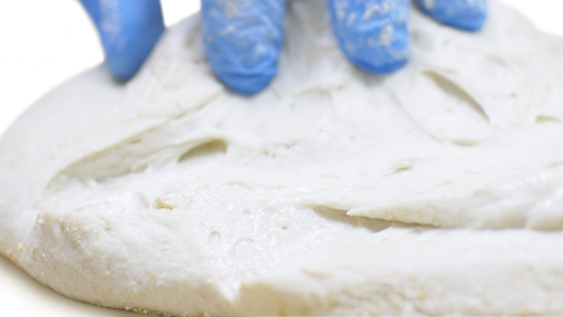 Zbliżenie przekroju kęsa ciasta pszennego pokazujące strukturę w fazie rozrostu wstępnego.