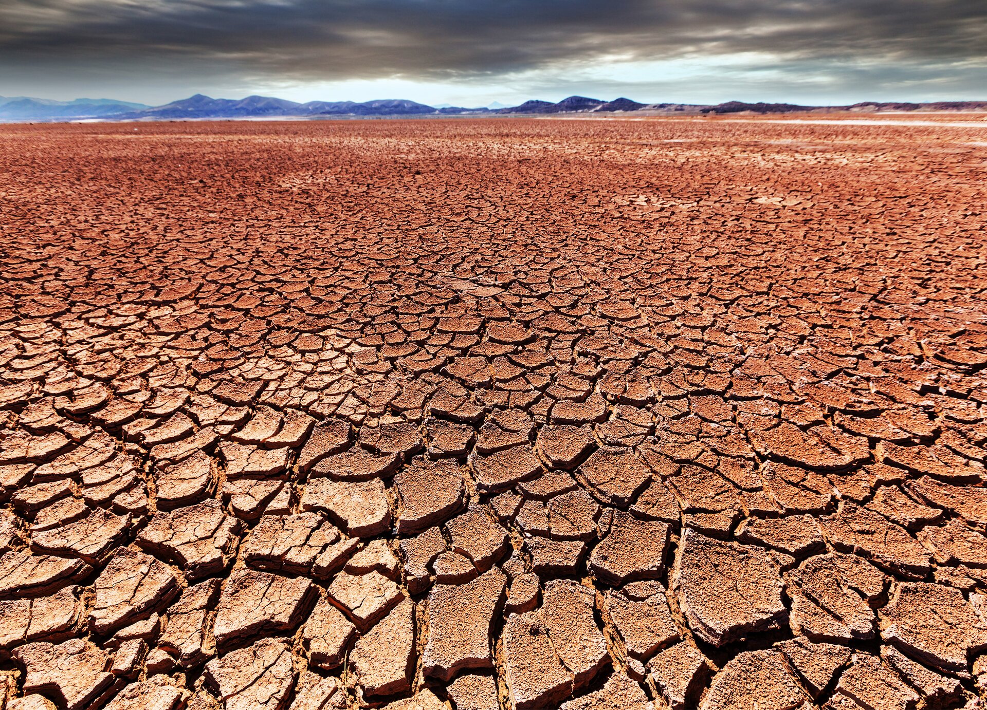 Zdjęcie przedstawia widok z góry na popękaną, suchą ziemię w kolorze brązowo‑rudym. Na horyzoncie widoczne łańcuchy górskie w kolorze granatowym oraz niebo z czarno‑szarymi chmurami.