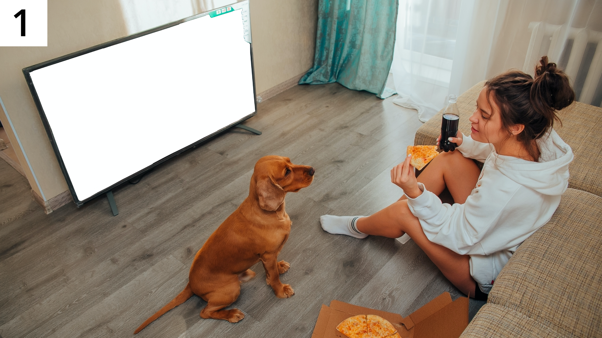 Na zdjęciu młoda kobieta siedzi na podłodze w mieszkaniu przed włączonym telewizorem, opiera się o kanapę i patrzy na psa. Pies siedzi na podłodze na środku pokoju i patrzy na dziewczynę, która w lewej ręce trzyma kawałek pizzy, a w prawej plastikową butelkę z napojem. Na podłodze obok kobiety leży otwarte pudełko z pizzą.