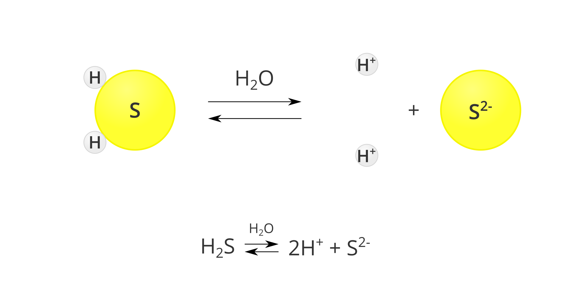Modelowy schemat dysocjacji kwasu siarkowodorowego. Po lewej stronie planszy znajduje się model cząsteczki siarkowodoru, zbudowany z dużego żółtego koła oznaczonego listerą S i przylegających do niego dwóch małych szarych kół oznaczonych literą H. Pośrodku planszy znajduje się znak reakcji przebiegającej w obie strony, mający postać dwóch równolegle ułożonych strzałek, z których górna skierowana jest w prawo, a dolna w lewo. Nad strzałkami znajduje się wzór H2O. Po prawej stronie znajduje się zapis rozpadu na jony: dwie szare kulki oznaczone jako H plus, znak dodawania oraz jedna duża żółta kula oznaczona jako S2 minus. Pod schematem zapis tej samej reakcji w postaci sumarycznej: cząsteczka H2S w obecności wody przechodzi w dwa jony H plus oraz jon S2 minus.
