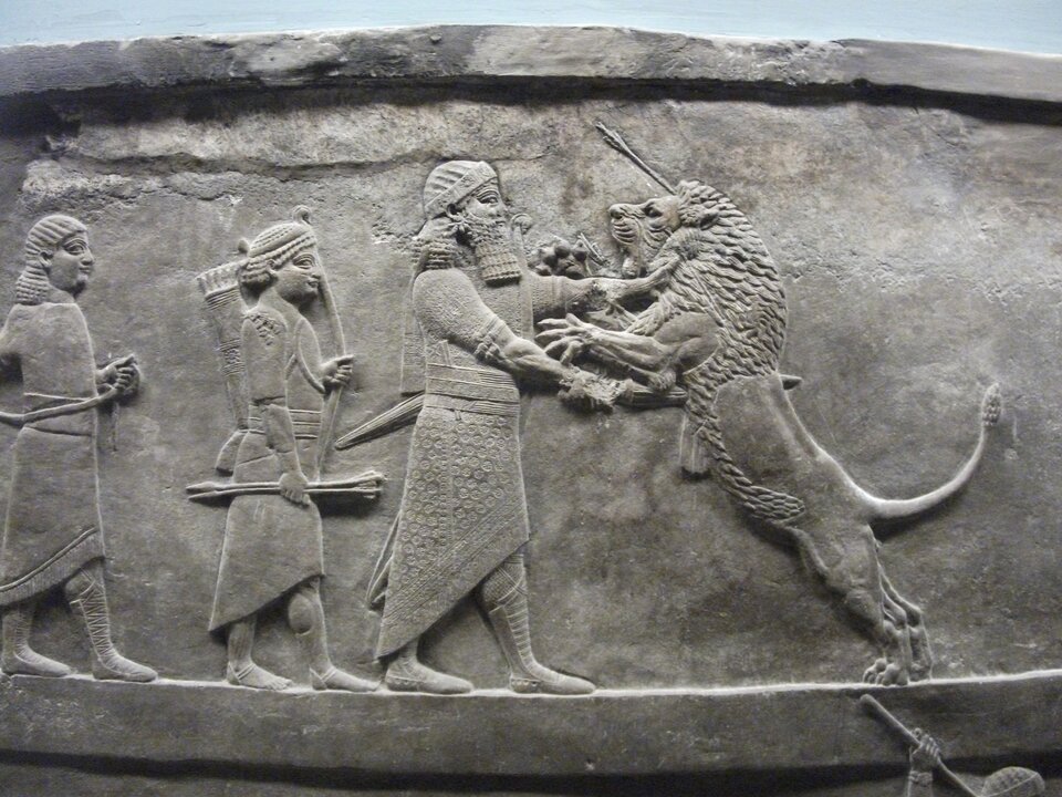 Ilustracja o kształcie poziomego prostokąta przedstawia płaskorzeźbę, ukazującą scenę zabijania lwów. W centrum król Assurbanipal lewą ręką trzyma za szyję lwa stojącego na tylnych łapach. Mieczem trzymanym w prawej dłoni przebija zwierzę. Za nim kroczy sługa z łukiem i strzałami. Postacie ubrane są w tuniki.