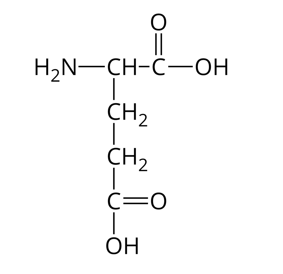 Wzór półstrukturalny kwasu glutaminowego. Do grupy H indeks dolny, dwa, koniec indeksu dolnego, N z prawej strony przyłączona jest grupa C H. Od niej odchodzą dwa wiązania pojedyncze. Pierwsze skierowane jest w prawo do atomu węgla. Od niego odchodzą dwa wiązania: podwójne w górę, prowadzące do atomu tlenu i pojedyncze w prawo do grupy O H. Drugie wiązanie odchodzące od grupy C H skierowane jest w dół i łączy się z grupą C H indeks dolny, dwa, koniec indeksu dolnego, od której odchodzi pojedyncze wiązanie w dół do grupy C H indeks dolny, dwa, koniec indeksu dolnego, a od niej kolejne pojedyncze wiązanie w dół do atomu węgla. Od niego poprowadzone są dwa wiązania: podwójne w prawo do atomu tlenu i pojedyncze w dół do grupy O H.