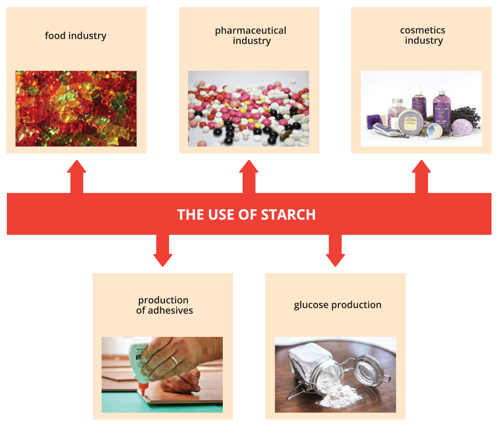 Schemat ze zdjęciami pokazuje, gdzie używana jest skrobia (the use of starch): w przemyśle spożywczym (food industry), przemyśle farmaceutycznym (pharmaceutical industry), w przemyśle kosmetycznym (cosmetics industry), do produkcji glukozy (glucose production) i do produkcji klejów (production of adhesives). 