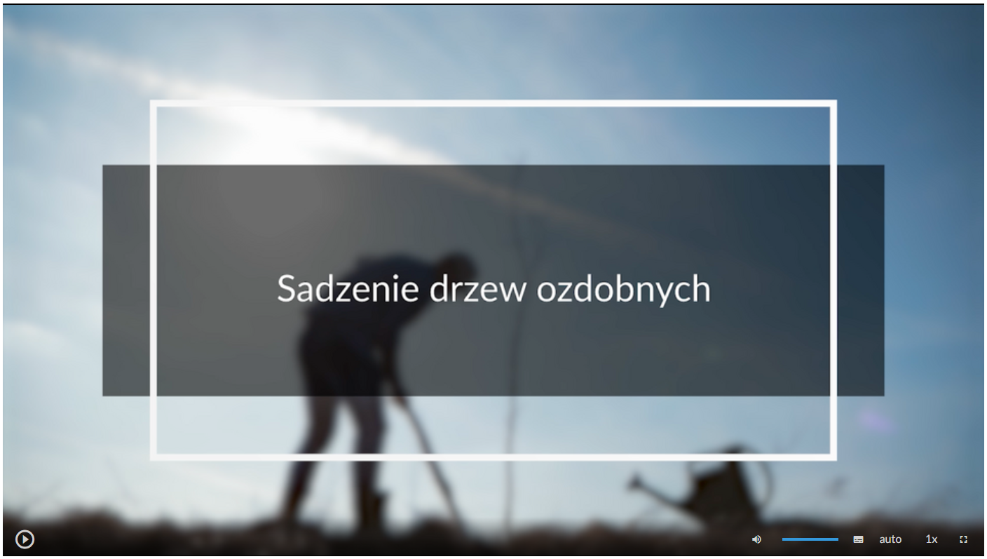 Zdjęcie przedstawia widok okna odtwarzana filmu. Widoczny jest czarny ekran. Na dole znajduje się pasek z ikonami. Po lewej stronie znajduje się przycisk play. Jest to okrąg z wpisanym trójkątem. Po prawej strony widnieje ikona głośnika, prostokąt, napis “auto”, prędkość, która wynosi 1x oraz ikona trybu pełnoekranowego, czyli przerywany kwadrat.
