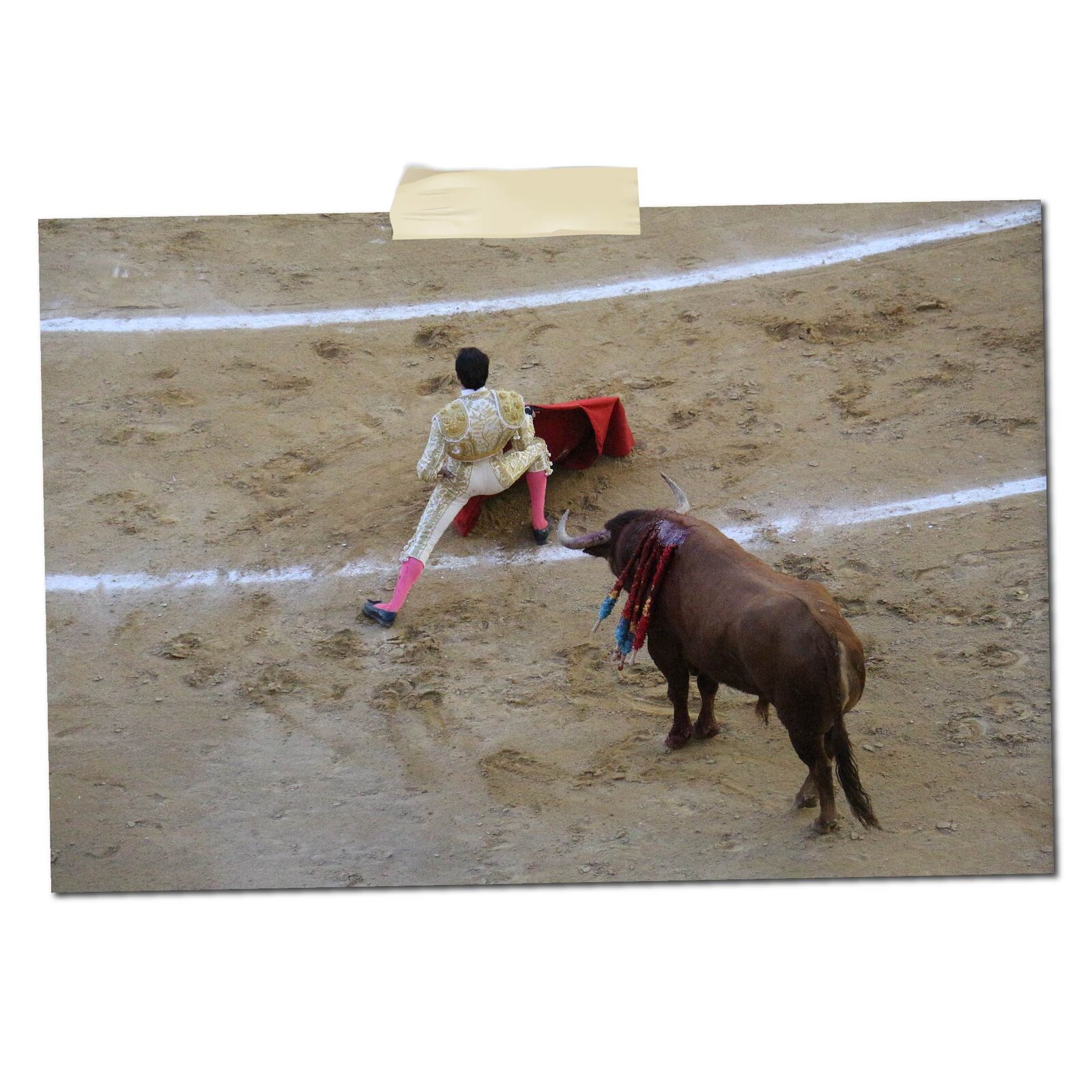 Na zdjęciu widoczny jest torreador wymachujący płachtą na arenie podczas korridy. Za nim stoi byk. 