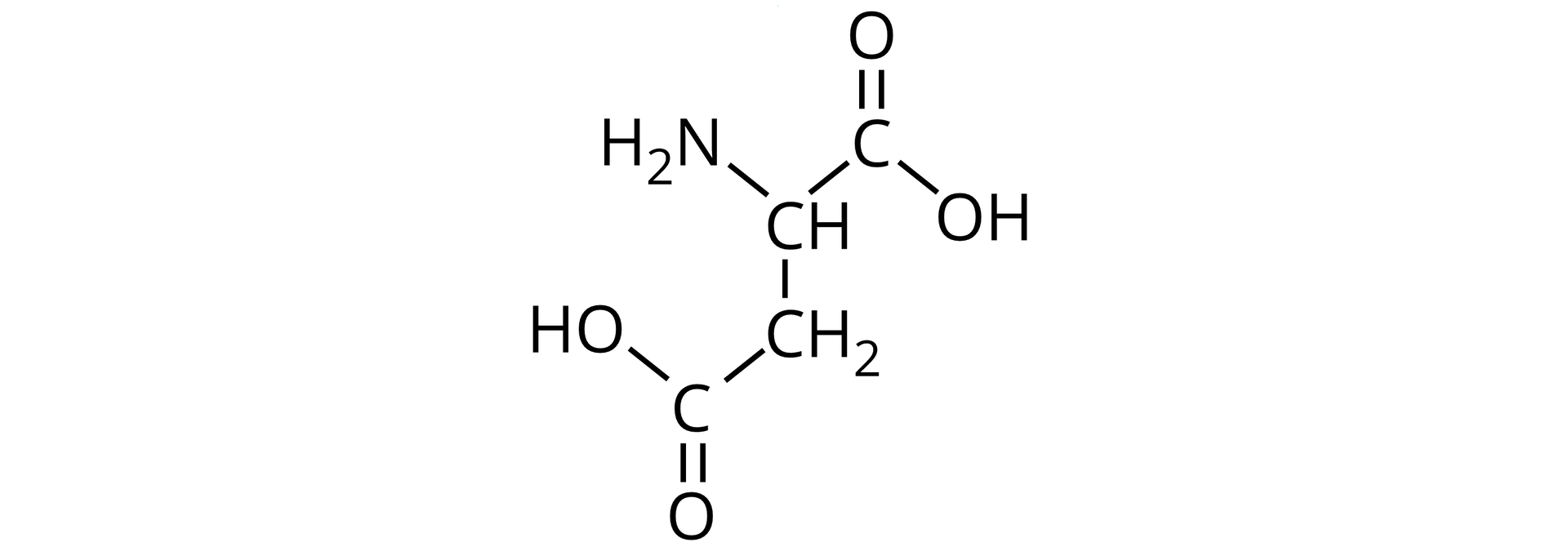Na ilustracji jest wzór pionowy. Grupa CH łączy się po prawej stronie z grupą COOH, a po lewej z grupą                H                 2                     N    . Grupa CH w dół łączy się z grupą metylenową. Ta łączy się po lewej stronie z grupą COOH. 