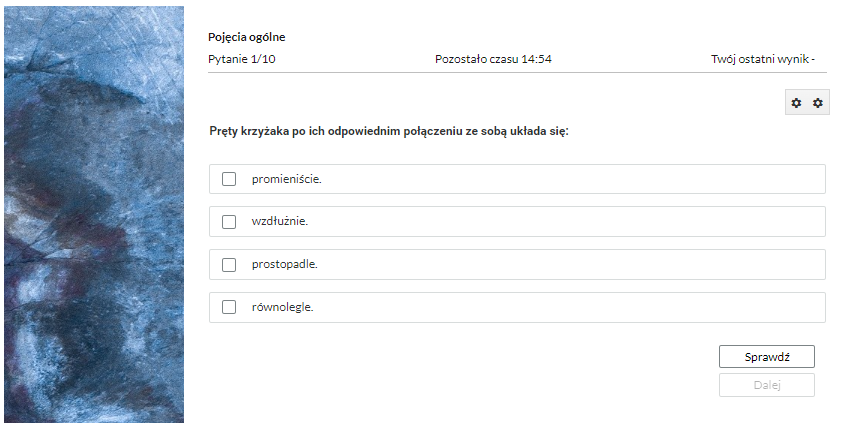 Grafika przedstawia przykładowy widok pytania testowego. 
