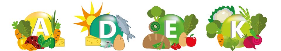 Rysunek przedstawia witaminy rozpuszczalne w tłuszczach: A, D, E, K. Witamina A występuje w marchewce, mięsie, zielonej papryce, żółtym serze. Witamina D występuje w słońcu, rybach, jajkach, grzybach, żółtym serze. Witamina Ę występuje w brokułach, kiwi, chlebie, zielonym groszku, truskawka, jajka, jabłku. Witamina K występuje w kalafiorze, brokułach, marchewkę, karczochach, szparagach, burakach.