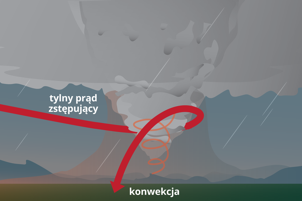 Grafika przedstawia rozszerzony mezocyklon. Znajduje się blisko powierzchni ziemi. Jego środek wiruje. Z lewej strony napływa tylny prąd zstępujący, okrąża mezocyklon i opada w dół.