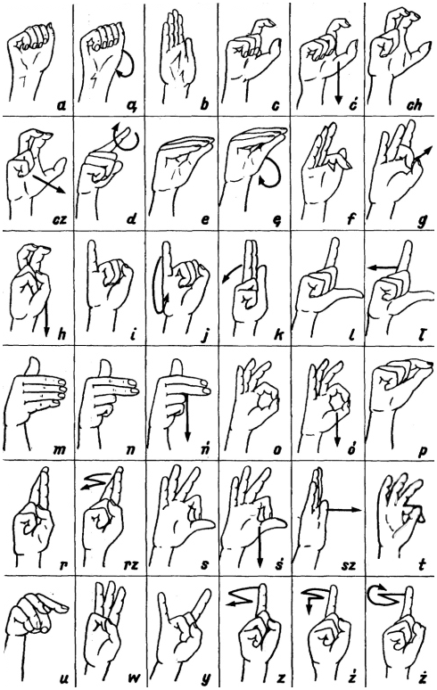 Ilustracja przedstawia tabelę złożoną z 6 kolumn i 6 wierszy. W każdym polu znajduje się rysunek gestów prawej dłoni i litera alfabetu, także dwuznaki oraz te zawierające znaki diakrytyczne. Na przykład literze „a” odpowiada zaciśnięta pięść. Jeśli pokazanie jakiejś litery wymaga ruchu np. kręcenia 1 palcem - jak w literze „d”, jest to ozaznaczone stosowną strzałką. 