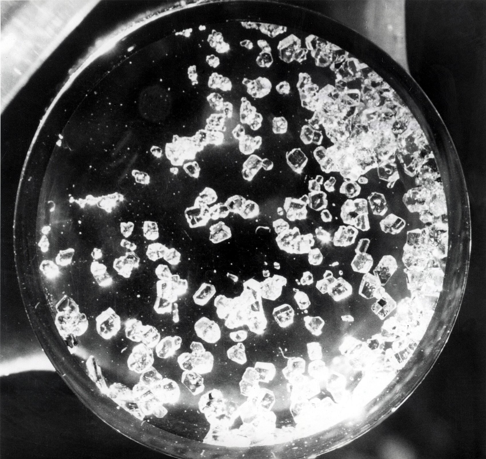 Ilustracja przedstawia bezbarwne kryształy znajdujące się na szkiełku zegarkowym.