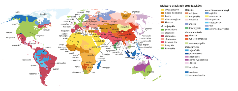 Wymień główne języki , które kolonizatorzy przywieźli do zdobytych przez siebie kolonii.