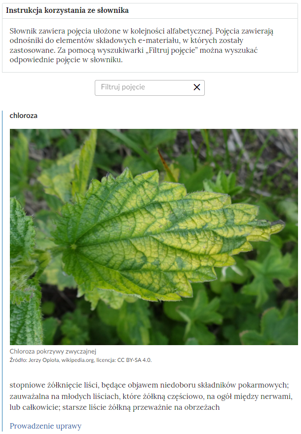 Widok na górną część słownika z polem filtrowania haseł słownika