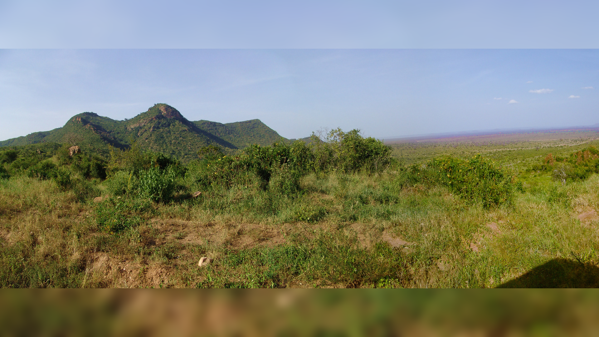 Fotografia przedstawia krajobraz ryftu, czyli obniżenia terenu w Kenii. Z lewej w oddali znajdują się 3 szczyty górskie, przed nimi równina porośnięta wyschniętą trawą oraz częściowo niskimi krzewami.
