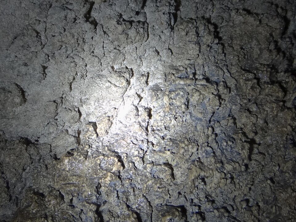 Fotografia przedstawia ospę krasową. Jest to powierzchnia skalna, na której stworzone są liczne, drobne zagłębienia poprzedzielane ostrymi grzbiecikami. 