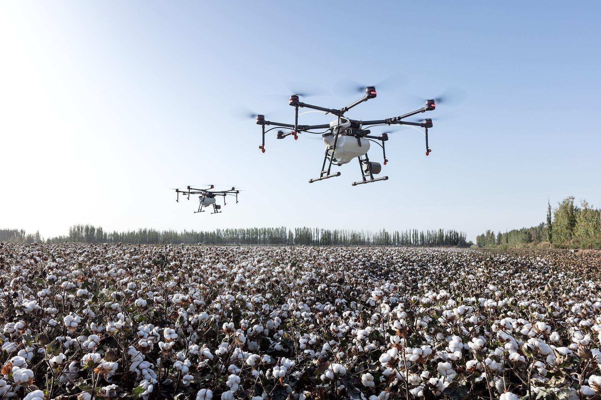 Zdjęcie przedstawia drony wspomagające pracę rolników na polu bawełny. Dron to nowoczesny, nieduży sprzęt latający, który wyposażony jest w wiele elementów. Pod dronami znajduje się duże pole bawełny.